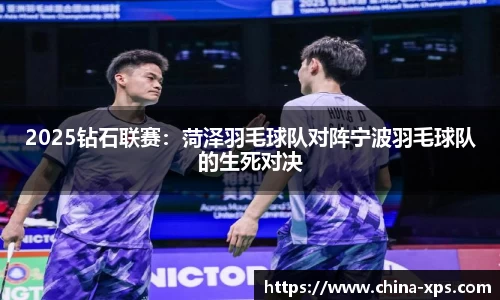 2025钻石联赛：菏泽羽毛球队对阵宁波羽毛球队的生死对决